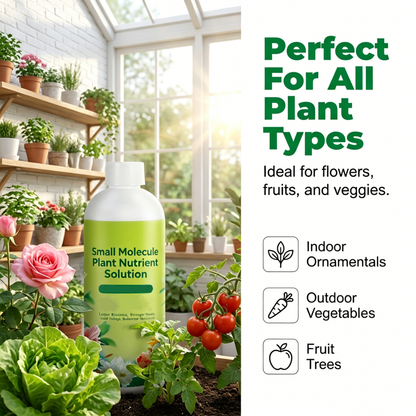 🌱 50% DE DESCONTO – Nutriente Avançado para Reforço de Raízes | Estimula crescimento, fortalece as raízes & ideal para plantas ornamentais, horta e jardim