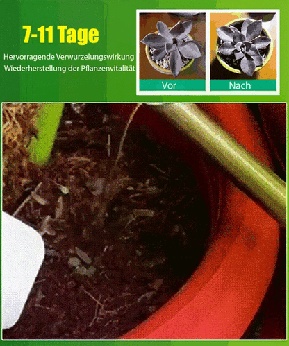 Flüssige Lösung zur Aktivierung von Pflanzen und Blumen