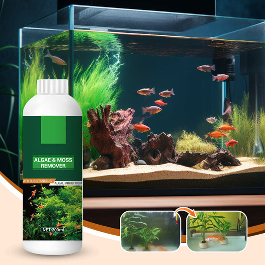 🎉Mehr kaufen, mehr sparen💥 Algen- und Moosentferner für Aquarien – Sichere Wasserreinigung