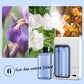 Automatischer Aromatherapie Diffusor