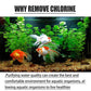 ✨️🐟️Chlorentfernungstabletten für Fischteiche und Aquarien🌬️