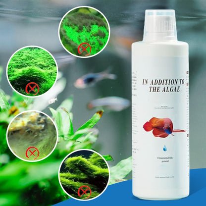 ⏳Begrenzte Zeit 50 % Rabatt⏳Effektive Algenbekämpfung für Aquarien