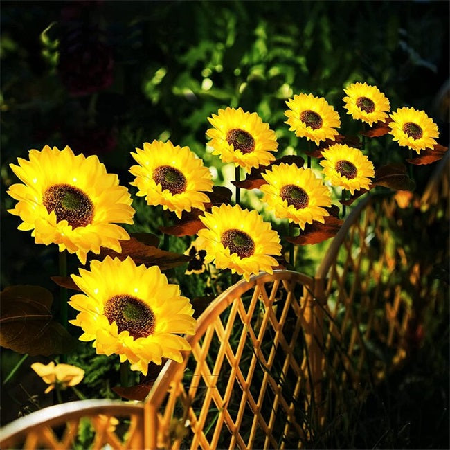🌻PROMOÇÃO RELÂMPAGO COM 50% DE DESCONTO! Luzes solares em forma de girassol – Decoração luminosa para o jardim ✨🌿【Apresse-se】