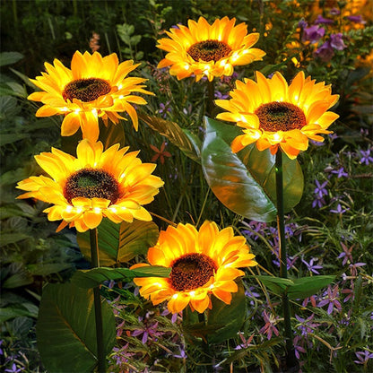 🌻PROMOÇÃO RELÂMPAGO COM 50% DE DESCONTO! Luzes solares em forma de girassol – Decoração luminosa para o jardim ✨🌿【Apresse-se】