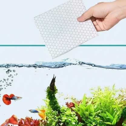 🐠 50% DE DESCONTO – Compre 1 Leve 1 Grátis ✨ Pastilhas Clarificantes para Aquário | Água cristalina em 24h, remove odores e impurezas, seguro para peixes e plantas 🌿🔮