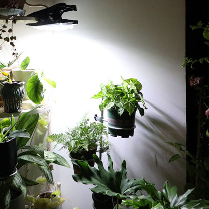 ☀️🔋Solar Outdoor Clip Lights with Motion Sensor