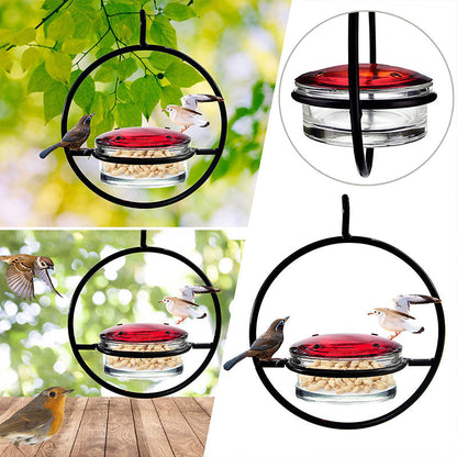 🔥 50% DE DESCONTO – Alimentador Suspenso para Beija-flores em Metal | Design decorativo, resistente à ferrugem & fácil de encher