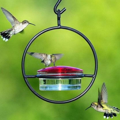 🔥 50% DE DESCONTO – Alimentador Suspenso para Beija-flores em Metal | Design decorativo, resistente à ferrugem & fácil de encher