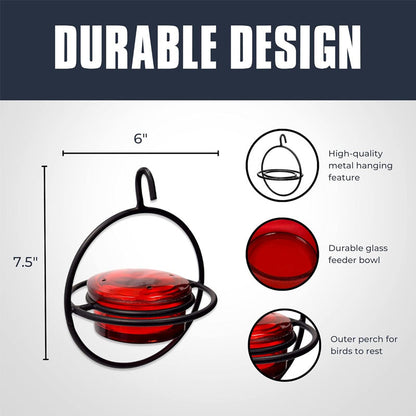 🔥 50% DE DESCONTO – Alimentador Suspenso para Beija-flores em Metal | Design decorativo, resistente à ferrugem & fácil de encher