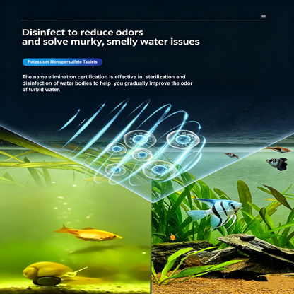 🐠 50% DE DESCONTO – Pastilhas Purificadoras de Água para Aquário | Água cristalina, elimina impurezas & seguras para peixe
