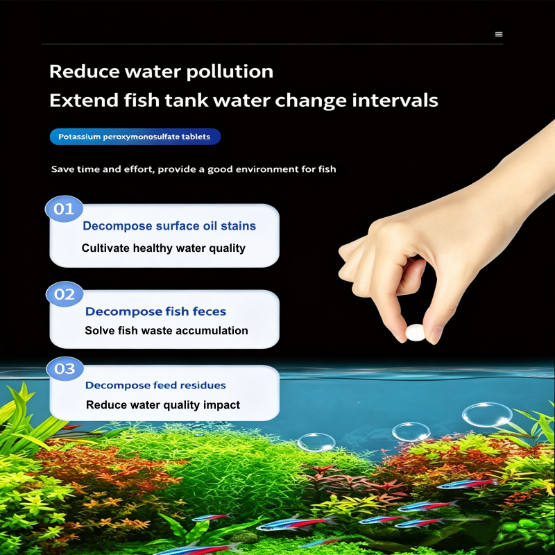 🐠 50% DE DESCONTO – Pastilhas Purificadoras de Água para Aquário | Água cristalina, elimina impurezas & seguras para peixe