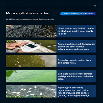 🐠 50% DE DESCONTO – Pastilhas Purificadoras de Água para Aquário | Água cristalina, elimina impurezas & seguras para peixe