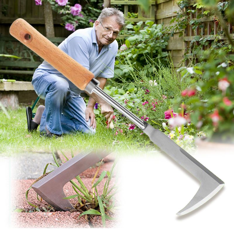 🌸 50% DE DESCONTO – Ferramenta de Aço Inoxidável para Remover Ervas Daninhas | Durável, precisa & ideal para fendas estreitas 🔧
