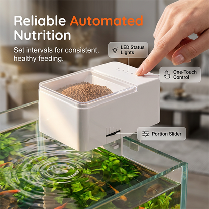 🐠 50% DE DESCONTO – Alimentador Automático para Peixes com Temporizador | Até 30 dias de autonomia, ideal para tutores ocupados 😴
