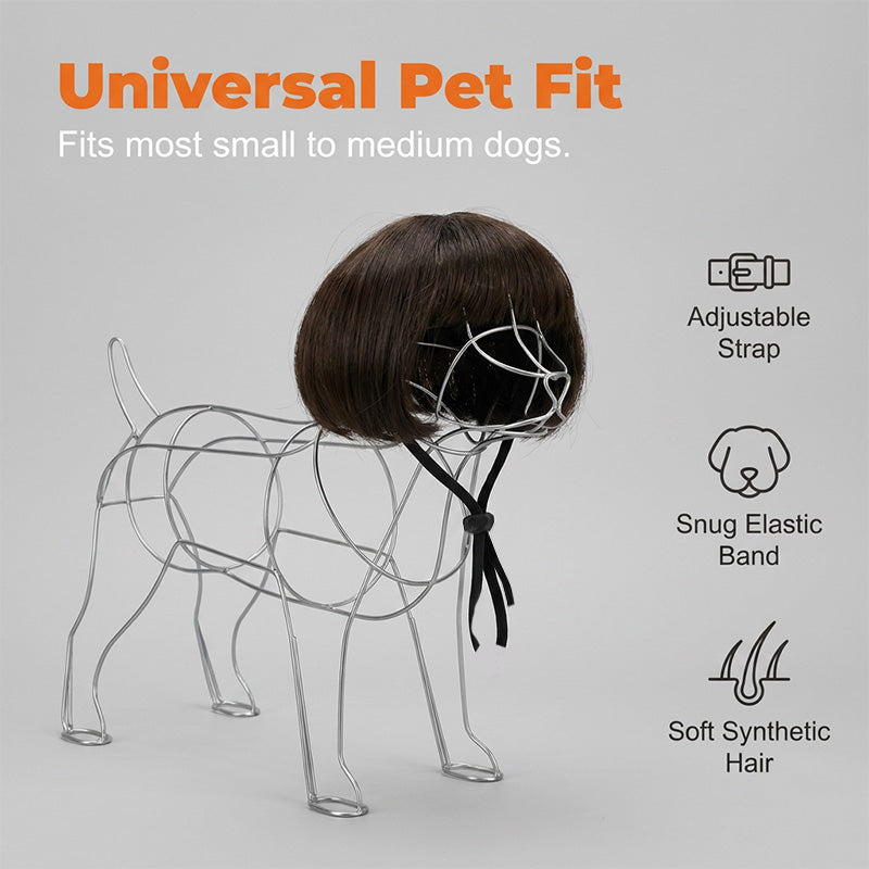 🎭 50% DE DESCONTO – Conjunto de Peruca Divertida para Pets | Último dia de oferta – apenas £9.99! Hilário, fácil de colocar & ideal para fotos 🐱✨
