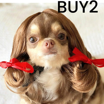 🎭 50% DE DESCONTO – Conjunto de Peruca Divertida para Pets | Último dia de oferta – apenas £9.99! Hilário, fácil de colocar & ideal para fotos 🐱✨