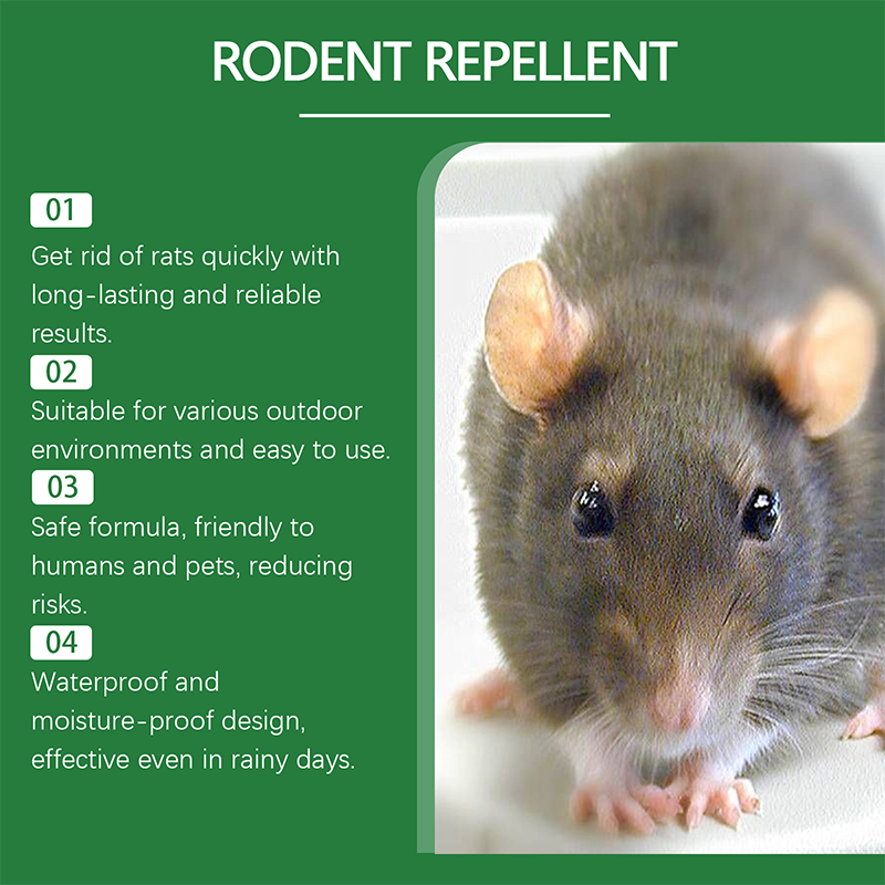 🌿 50% DE DESCONTO – Spray Repelente de Roedores com Óleo de Hortelã-Pimenta | Natural, seguro para pets & eficaz contra ratos e camundongos 🐭🚫